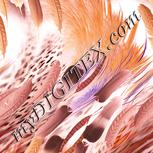 Colour:J