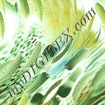 Colour:K