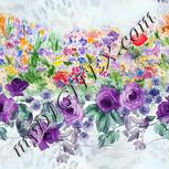 Colour:A