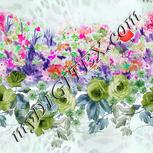 Colour:B