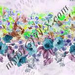 Colour:D