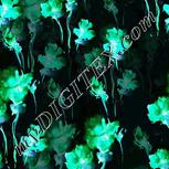 Colour:F