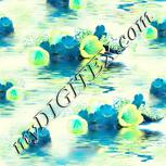 Colour:C
