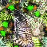 Colour:F