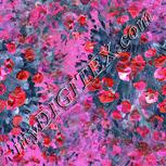 Colour:B