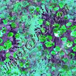 Colour:C