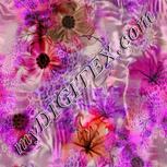 Colour:B
