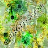 Colour:D