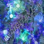 Colour:F