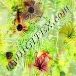 Colour:K