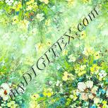 Colour:K