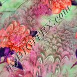 Colour:B