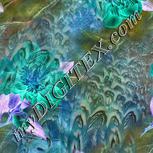 Colour:F