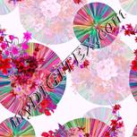 Colour:B