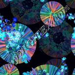 Colour:F