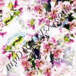 Colour:A