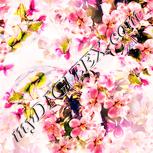 Colour:J