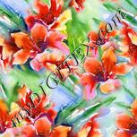 Colour:A