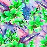 Colour:C