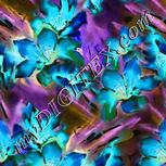 Colour:F