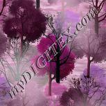 Colour:B