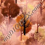 Colour:J