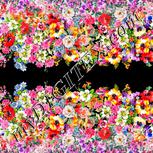 Colour:A