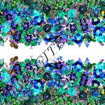 Colour:F