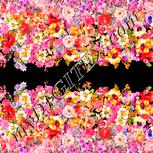 Colour:J