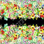 Colour:K