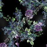 Colour:F