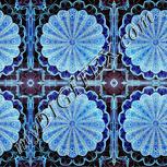 Colour:F