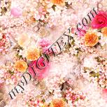 Colour:J