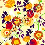Colour:K