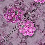Colour:B