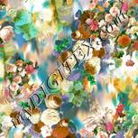 Colour:B