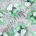 Colour:C