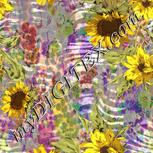 Colour:A