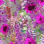 Colour:B