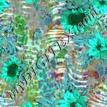 Colour:C