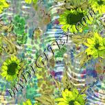 Colour:D