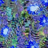 Colour:F