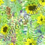 Colour:K