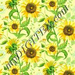 Colour:K