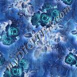 Colour:F