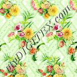 Colour:K