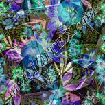 Colour:F