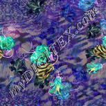 Colour:F