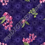 Colour:A