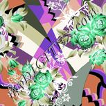 Colour:F